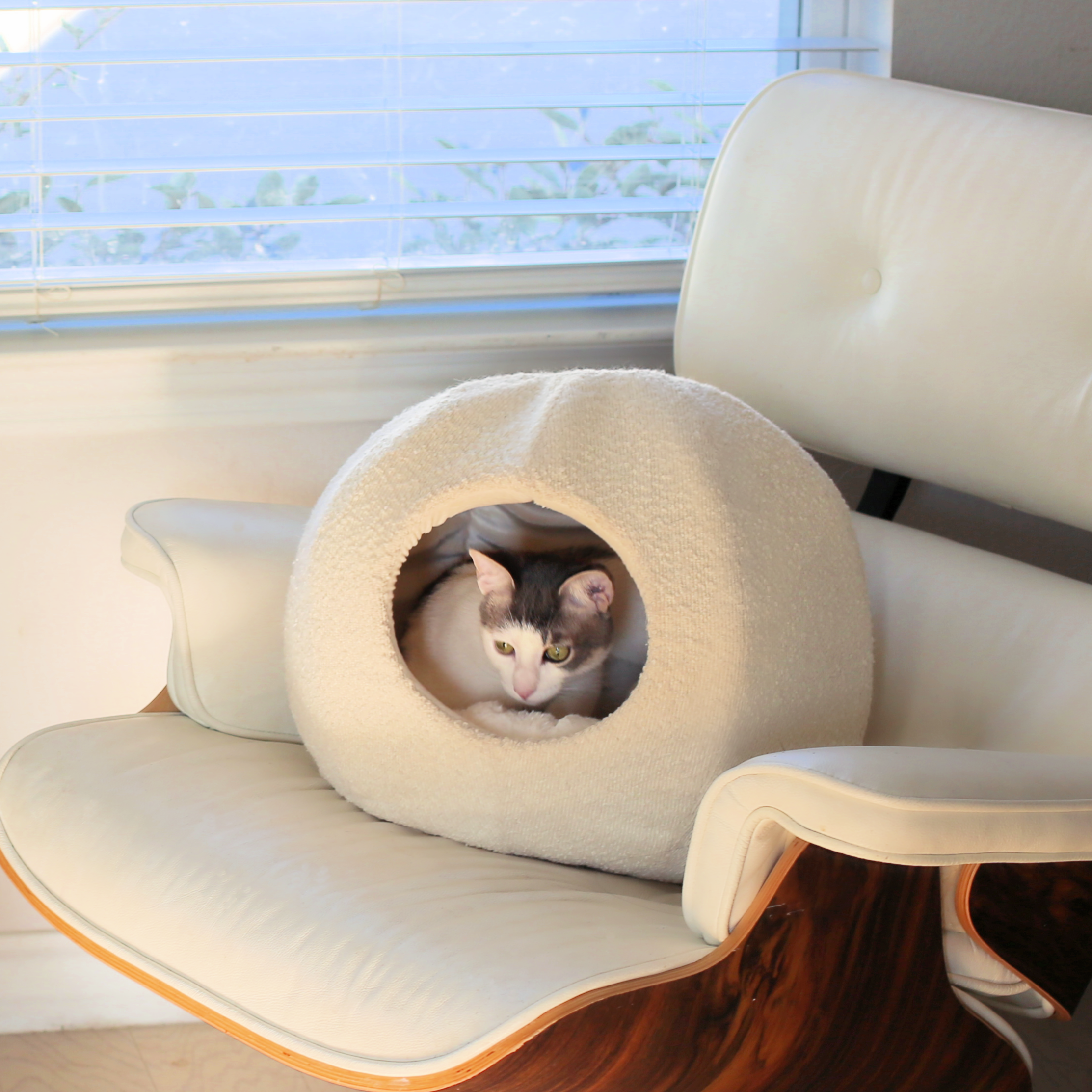Caverne pour animaux de compagnie Moon - Boucle