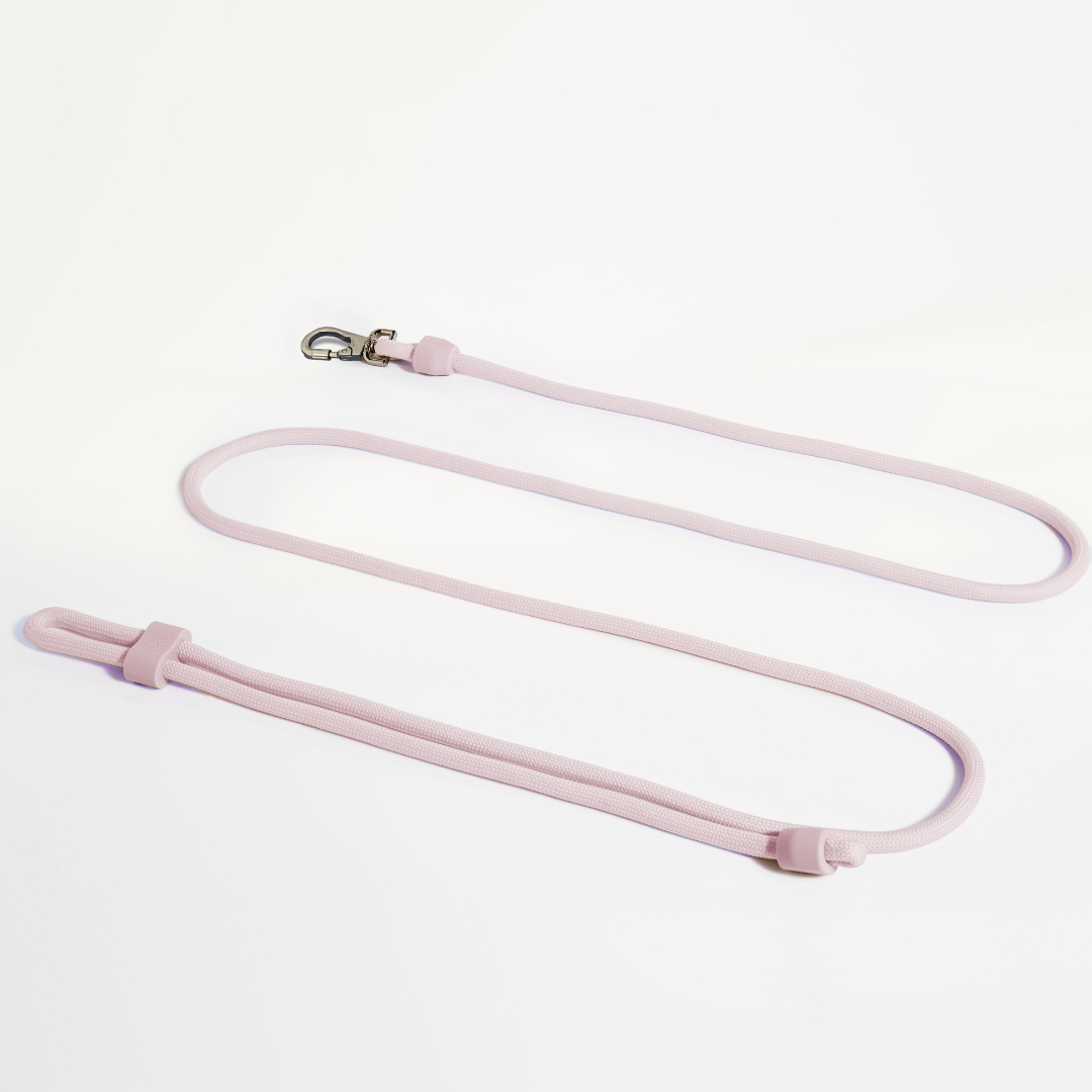Laisse mains libres - Marshmallow