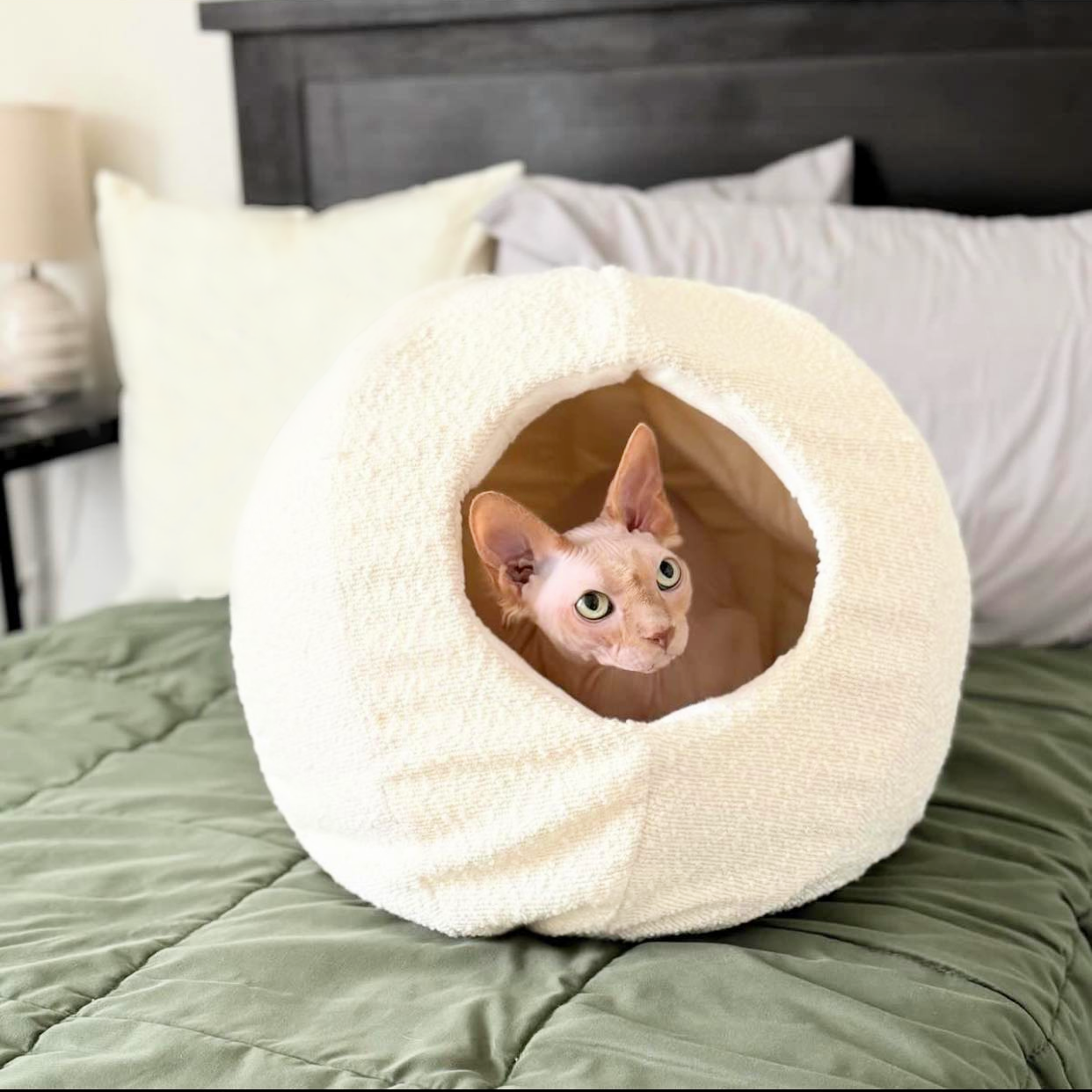 Caverne pour animaux de compagnie Moon - Boucle