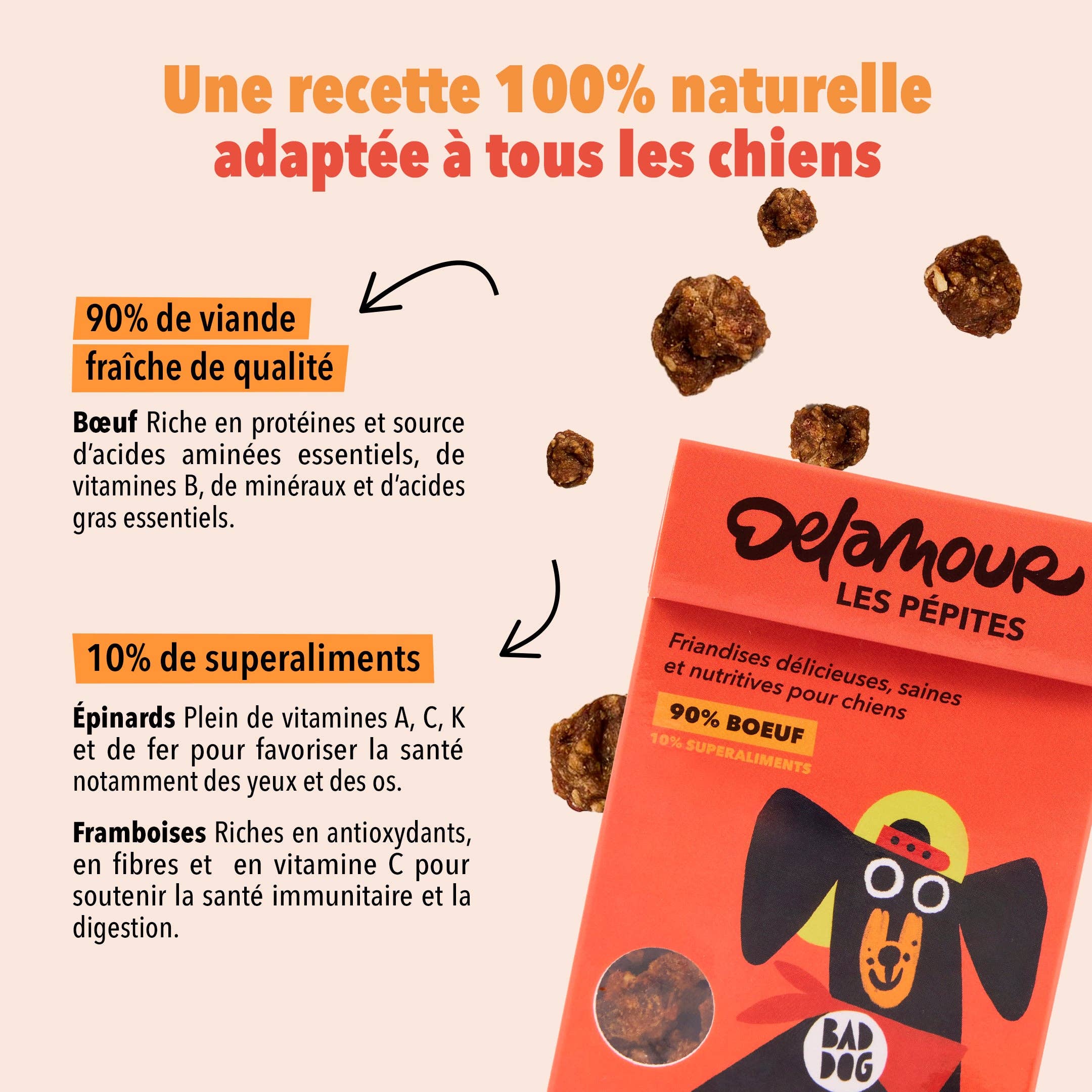 Les Pépites, format nomade - Boeuf (75g) - Lot 12 boîtes
