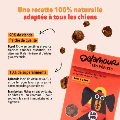 Les Pépites, format nomade - Boeuf (75g) - Lot 12 boîtes