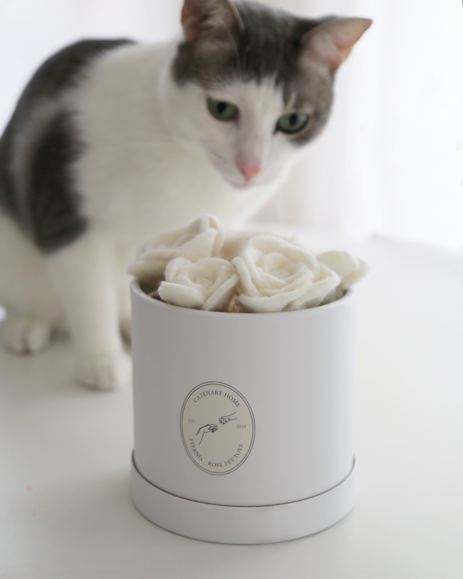 Boîte à Jouets pour Animaux Flora Eterna - Ensemble de Jouets en Rose