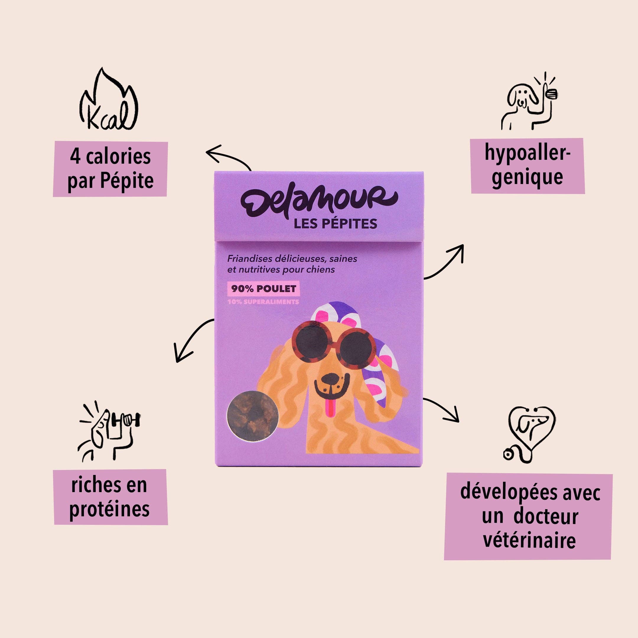 Les Pépites, format nomade - Poulet (75g) - Lot 12 boîtes