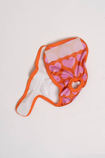 Culottes menstruelles pour chien - Cœurs