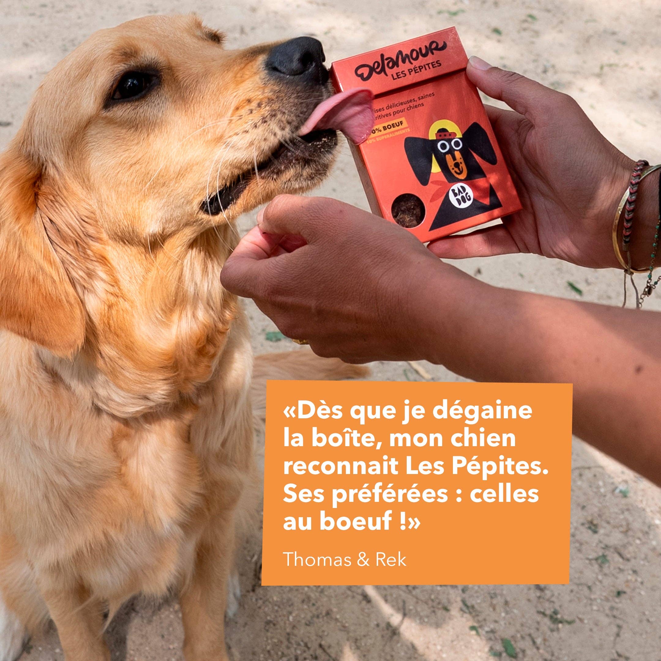 Les Pépites, format nomade - Boeuf (75g) - Lot 12 boîtes