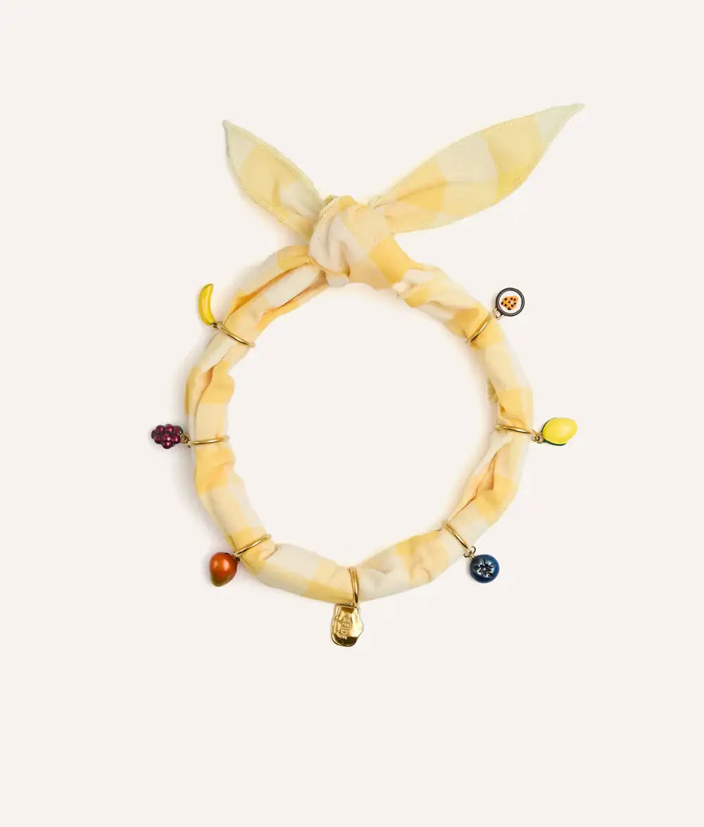 Pack 7 Charms Chien Fruits, Sira