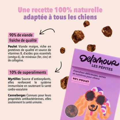 Les Pépites, format nomade - Poulet (75g) - Lot 12 boîtes