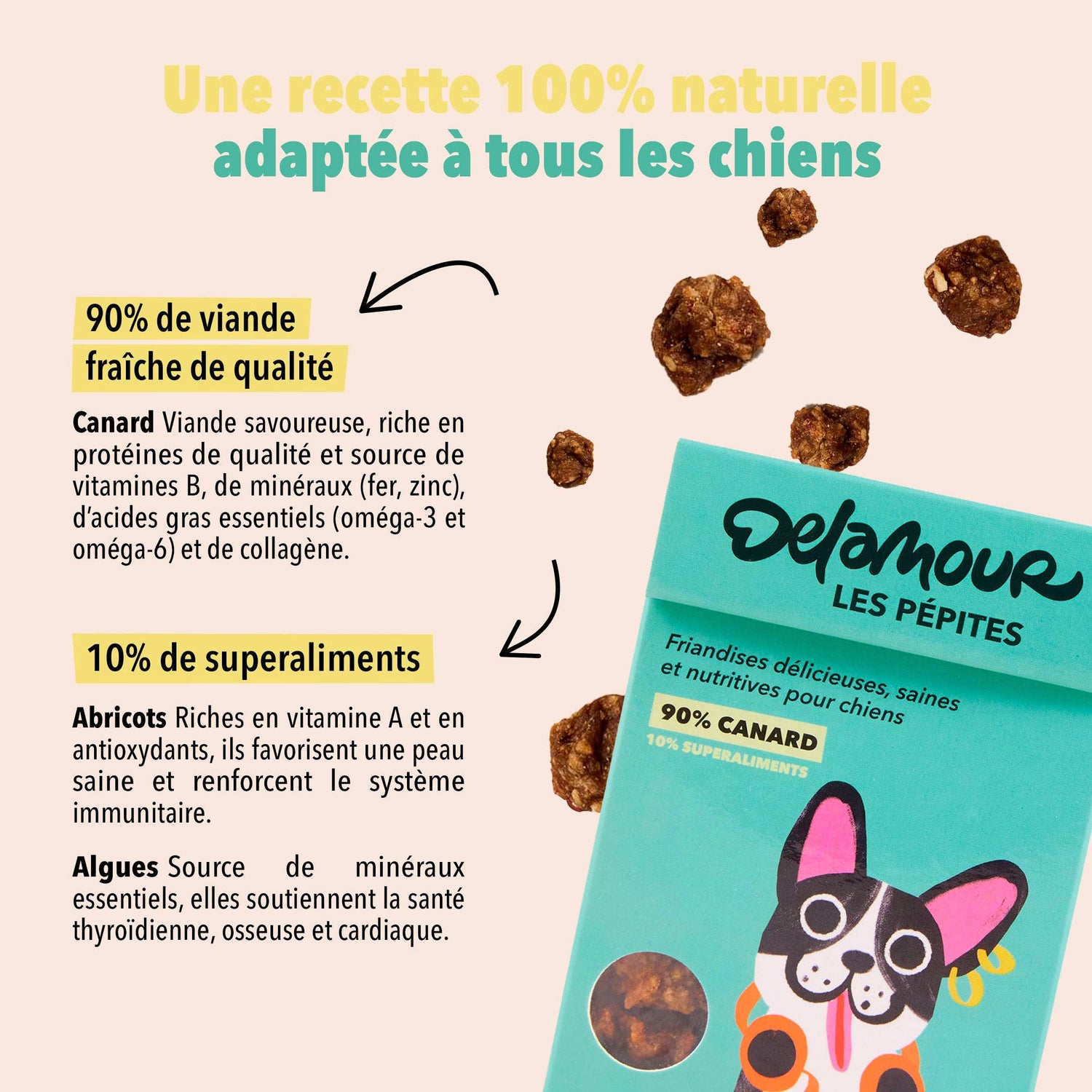 Les Pépites, format nomade - Canard (75g) - Lot 12 boîtes