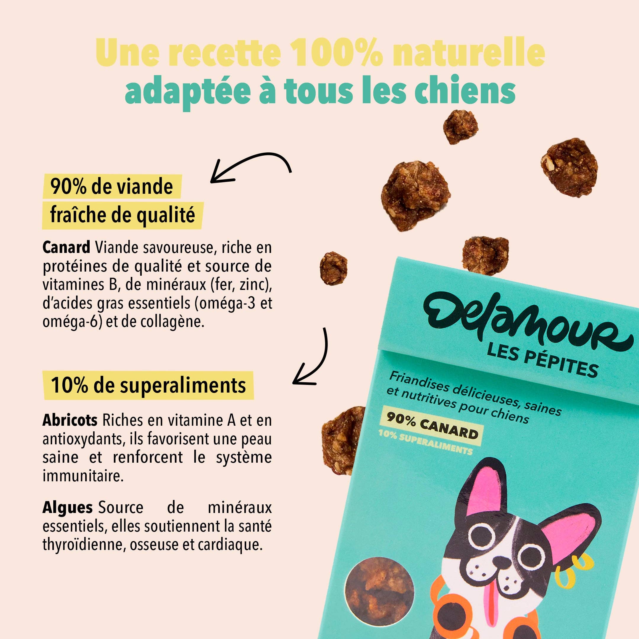 Les Pépites, format nomade - Canard (75g) - Lot 12 boîtes