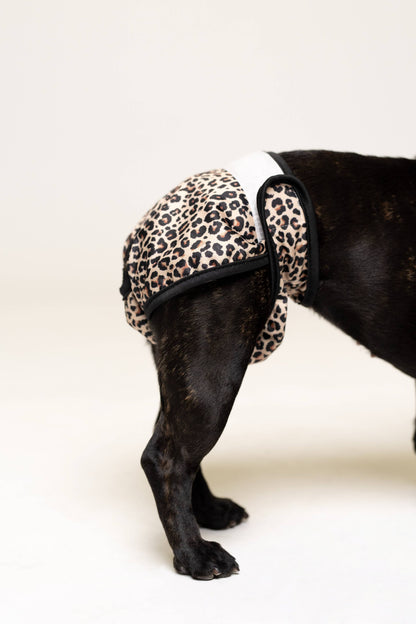 Culottes menstruelles pour chien - Cœurs
