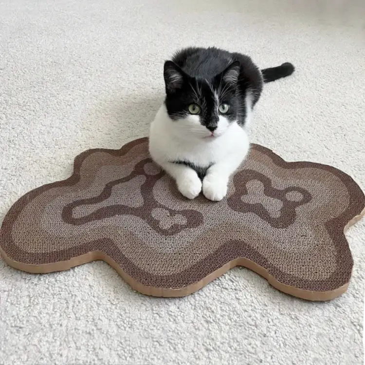 Griffoirs pour chats Bloom (ensemble de 3)