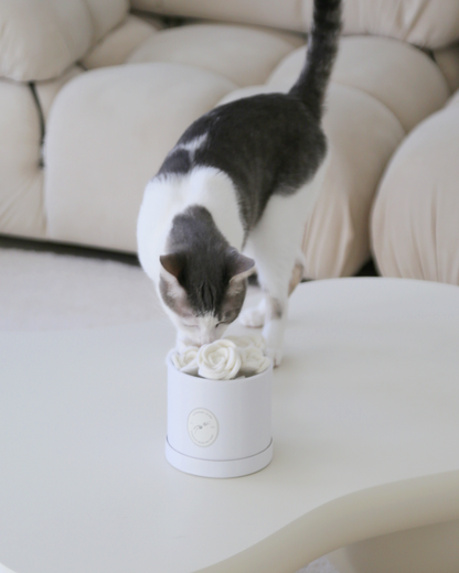 Boîte à Jouets pour Animaux Flora Eterna - Ensemble de Jouets en Rose