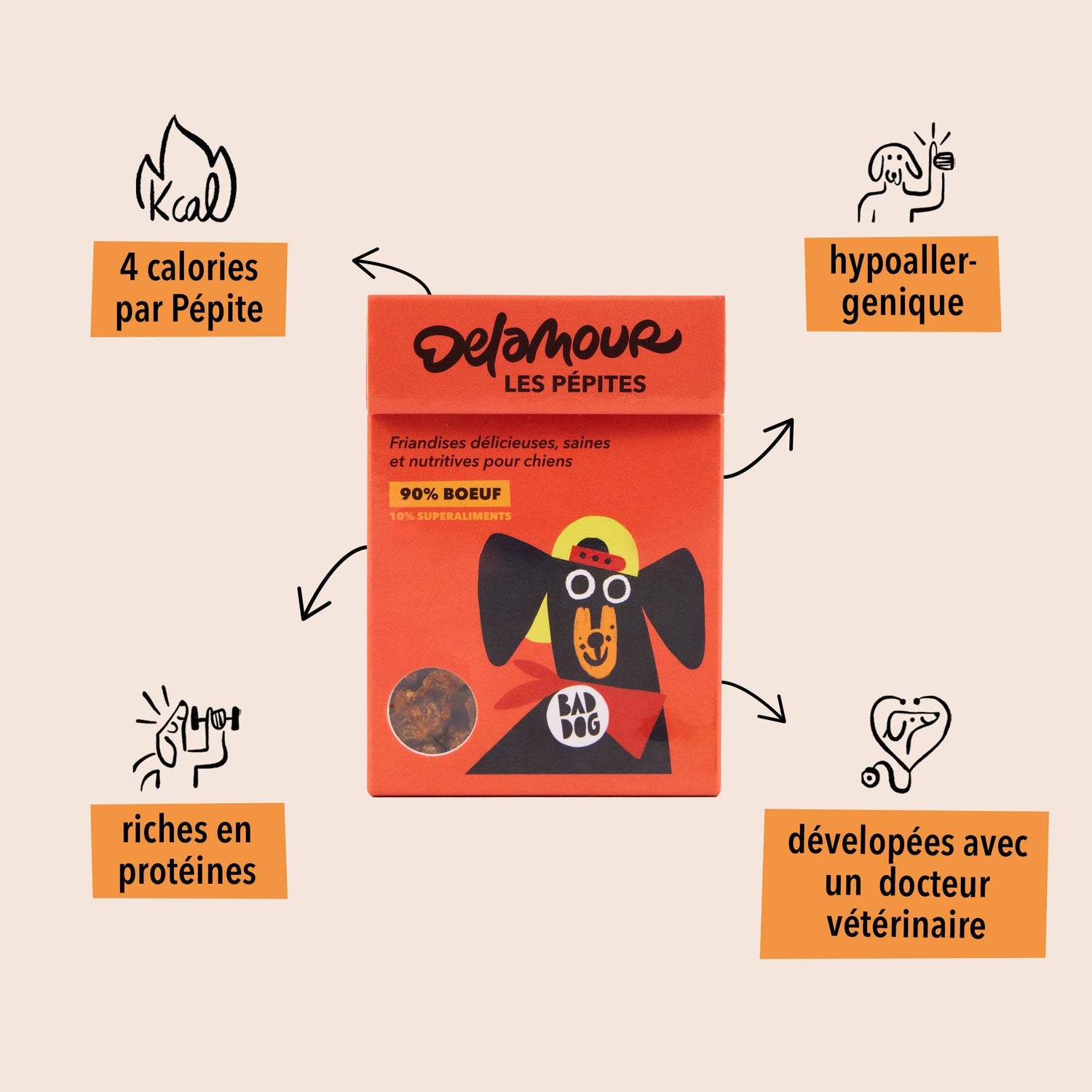 Les Pépites, format nomade - Boeuf (75g) - Lot 12 boîtes