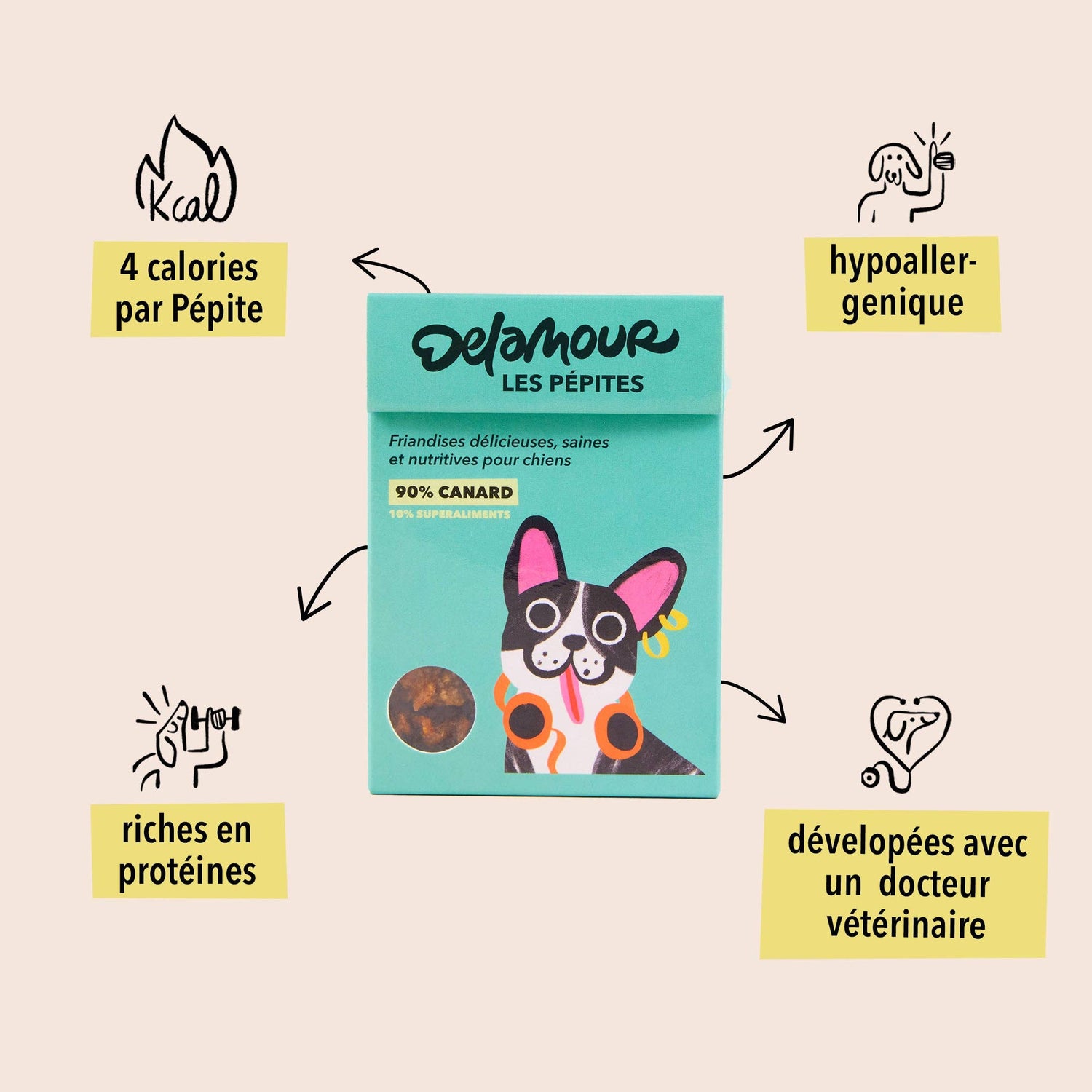 Les Pépites, format nomade - Canard (75g) - Lot 12 boîtes